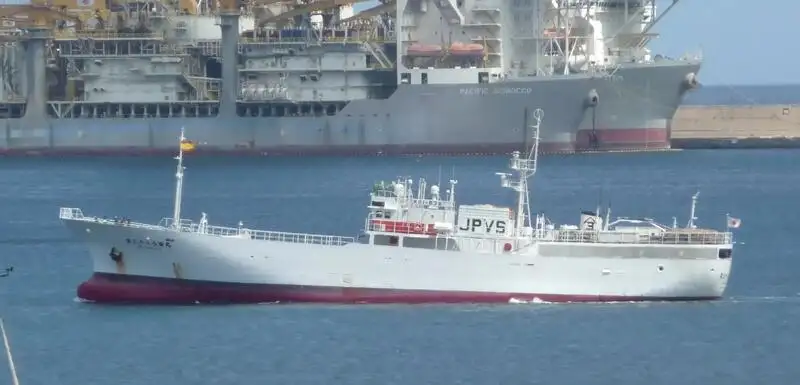 Traineira de pesca à venda