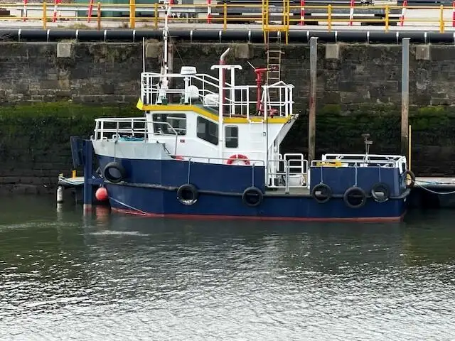 Barcos de trabalho à venda