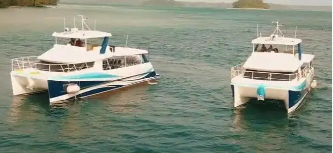 Embarcação a motor à venda