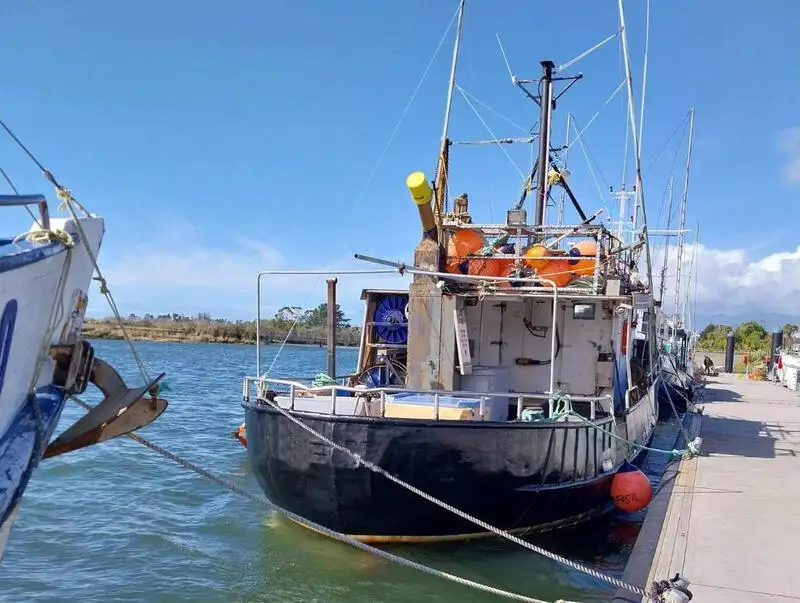 Navio com palangre à venda