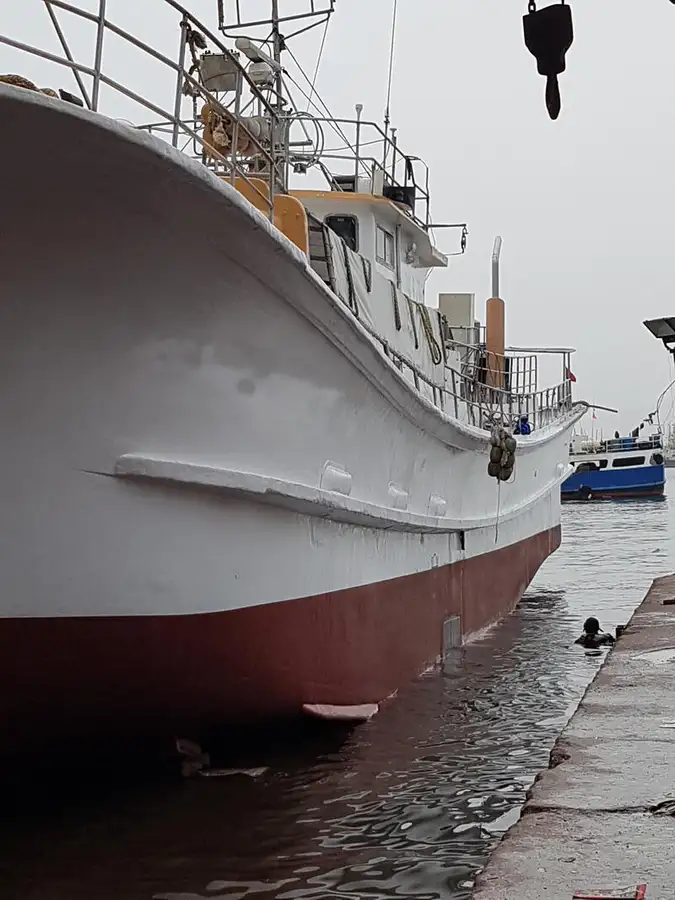 Navio com palangre à venda