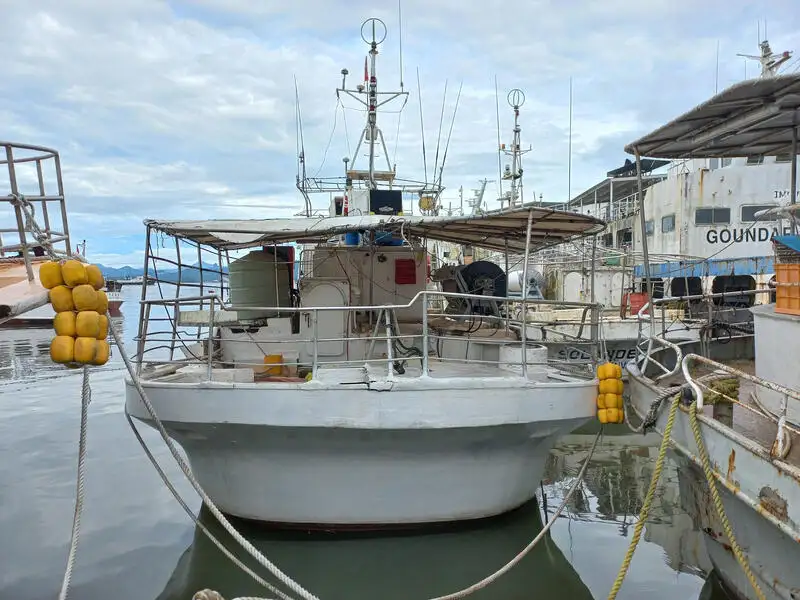Navio com palangre à venda