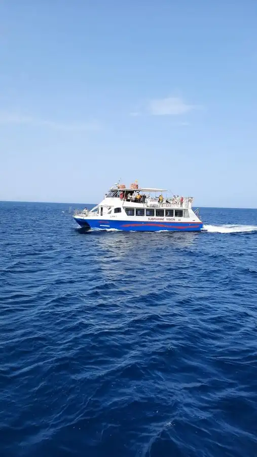 Embarcação a motor à venda
