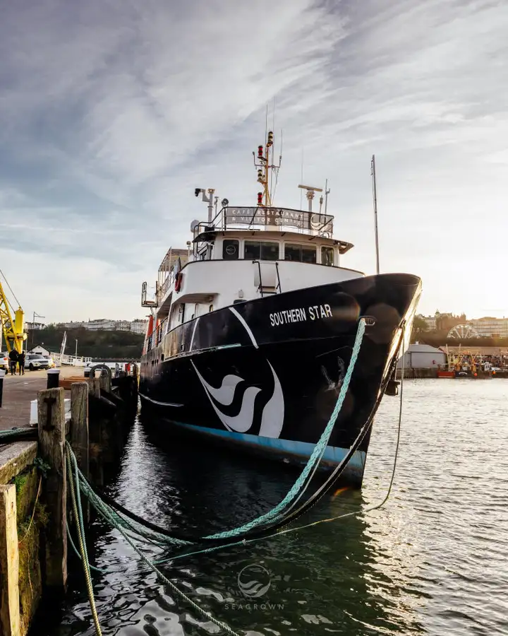 Navio de pesquisa à venda