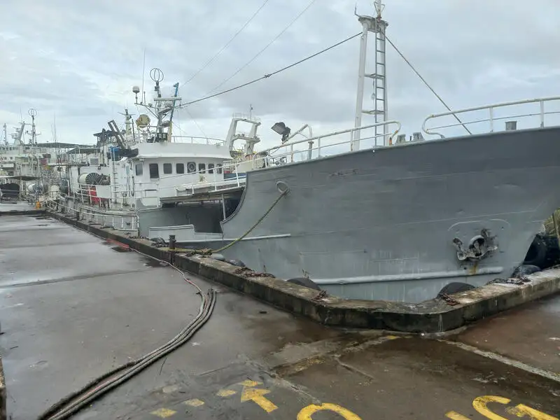 Navio com palangre à venda