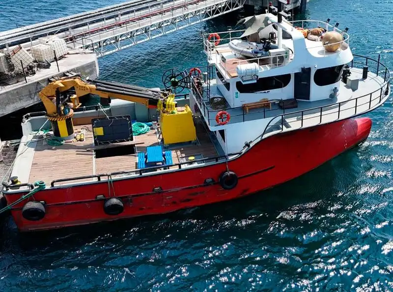 Barcos de trabalho à venda