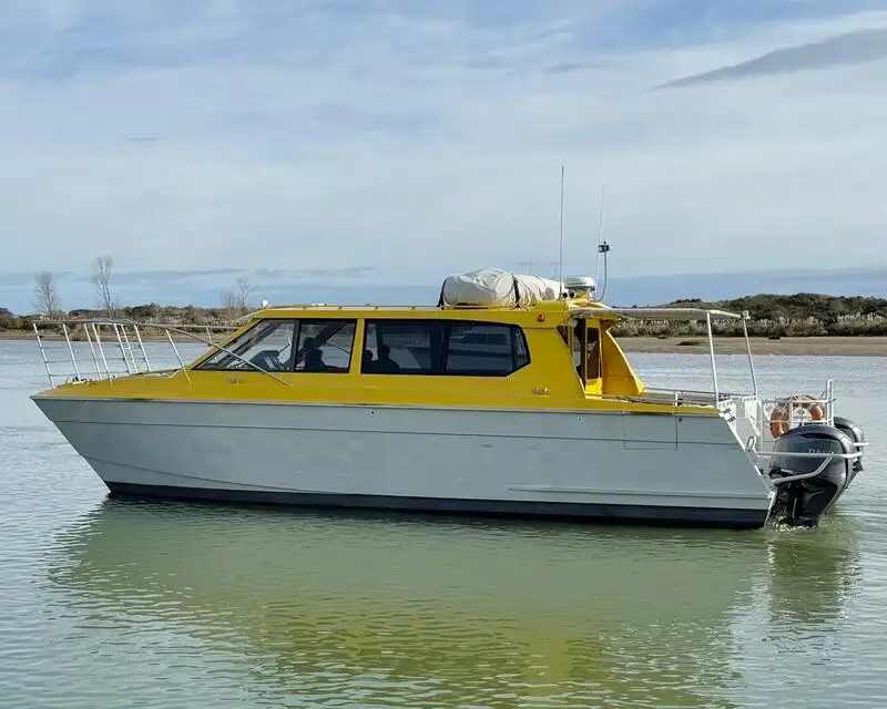 Embarcação a motor à venda