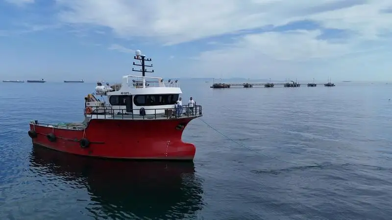 Barcos de trabalho à venda
