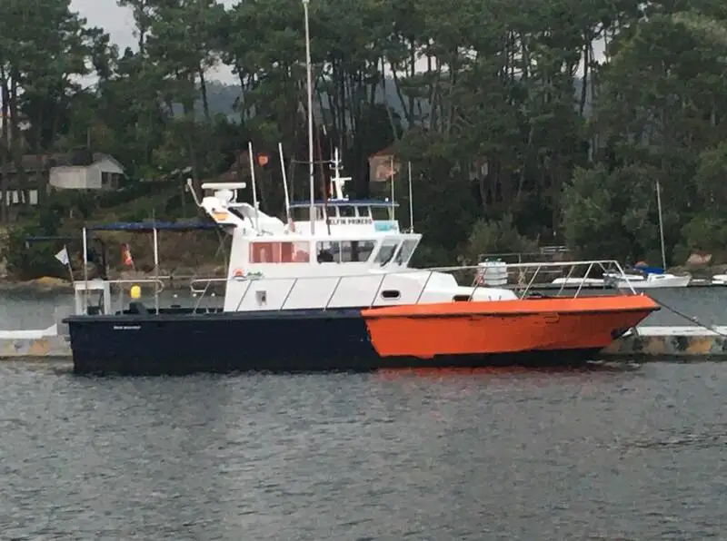 Barcos de trabalho à venda