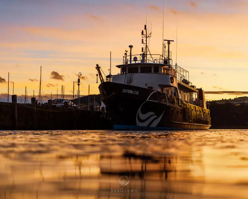 Navio de pesquisa à venda