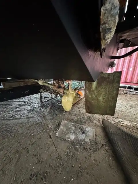 Traineira de pesca à venda