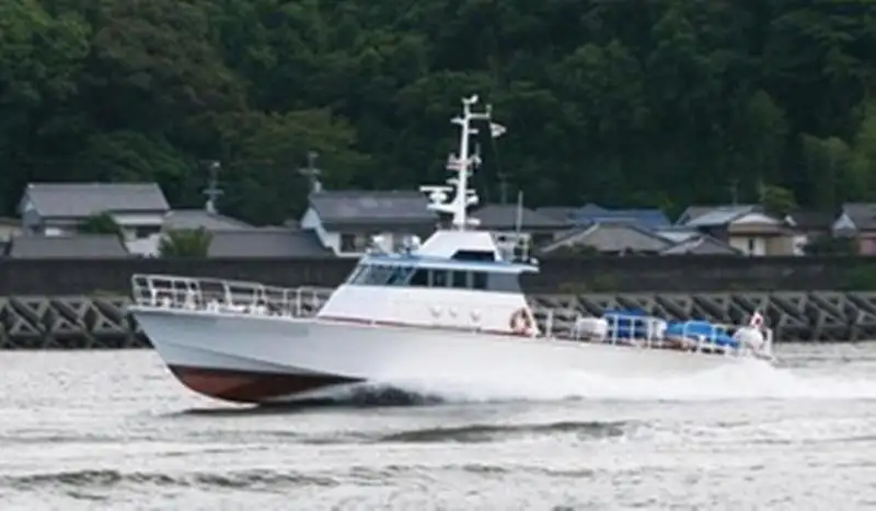 Barco patrulha à venda