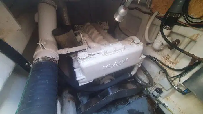 Embarcação a motor à venda