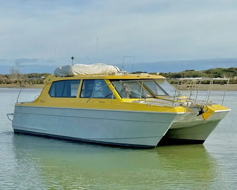 Embarcação a motor à venda