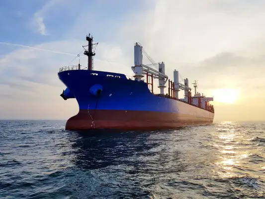 Bulk carrier for sale