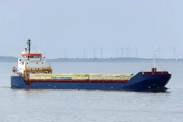 Bulk carrier for sale