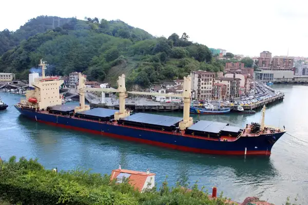 Bulk carrier for sale