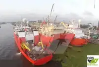 Suporte de mergulho à venda