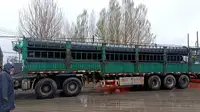 Draga à venda