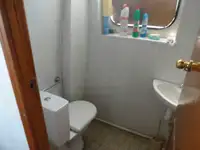 Embarcação a motor à venda