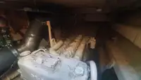 Embarcação a motor à venda