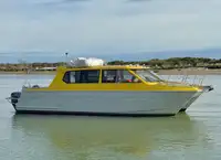 Embarcação a motor à venda