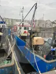 Portador de peixe vivo à venda
