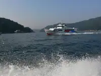Navio balsa à venda
