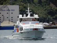 Navio balsa à venda