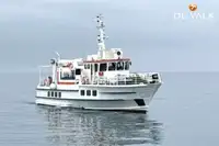 Navio balsa à venda
