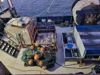 Ferro velho à venda