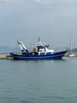 Traineira de pesca à venda