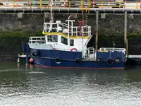 Barcos de trabalho à venda
