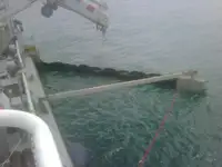 Barcos de trabalho à venda