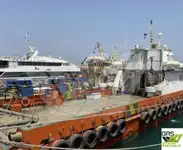 navio de parque eólico à venda