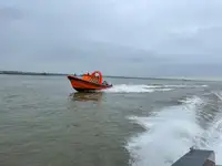 Barco inflável rígido à venda