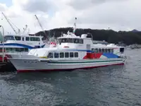 Navio balsa à venda