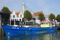 Traineira de pesca à venda