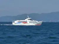 Navio balsa à venda