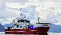 Embarcação de arrastão com rede de cerco à venda