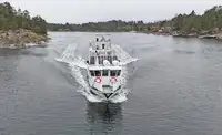 Embarcação a motor à venda
