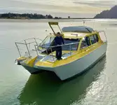 Embarcação a motor à venda