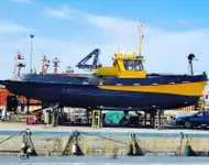 Barcos de trabalho à venda