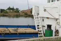 Barcos de trabalho à venda