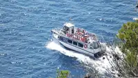 Suporte de mergulho à venda