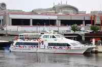 Embarcação a motor à venda