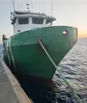 Barcos de trabalho à venda