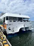 Catamarã à venda