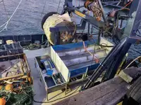 Ferro velho à venda