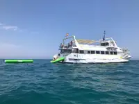 Navio balsa à venda